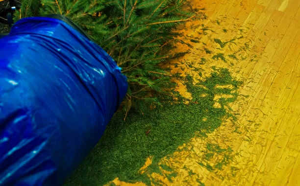 Christmas Tree Disposal Lakeland, FL Christmas Tree Disposal Lakeland, FL