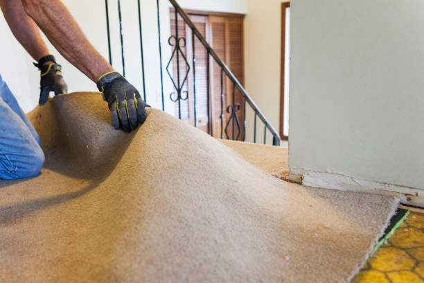 Common Mistakes to Avoid When Removing Old Carpets Lakeland, FL Common Mistakes to Avoid When Removing Old Carpets Lakeland, FL