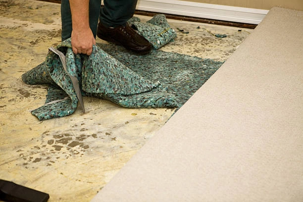 Common Mistakes to Avoid When Removing Old Carpets in Lakeland, FL Common Mistakes to Avoid When Removing Old Carpets in Lakeland, FL